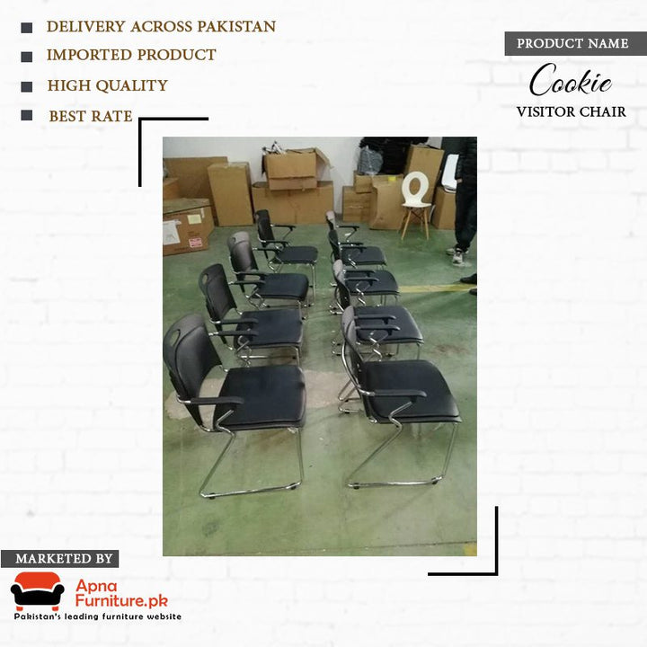 Cookie Casual Chair Apnafurniture.pk WOODPECKER