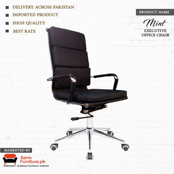 Buy Mint Executive Office Chair at Best Price Online in Pakistan on Apnafurniture.pk
