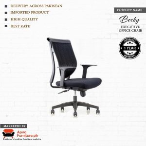 Becky-executive-office-chair-by-Apnafurniture.pk