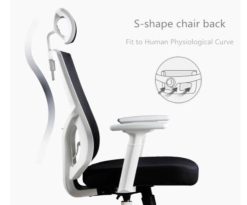 Ergonomic Design of Ergo Office Chair