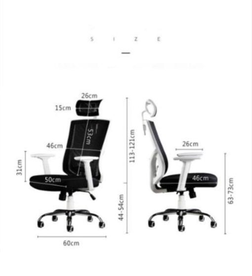 Dimensions of Ergo Office Chair
