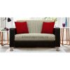 two seater couch with cushions