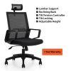 executive office chair with headrest and lumbar support and stylish arms