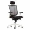 Korean promax office chair with high back