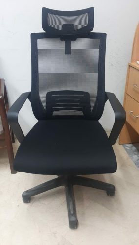 Max Mesh Chair photo review